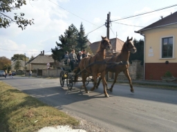 szuret16_11_20220219
